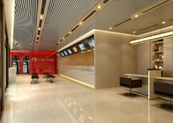 Airport OEM Professional Aluminum Linear Ceiling Panels
